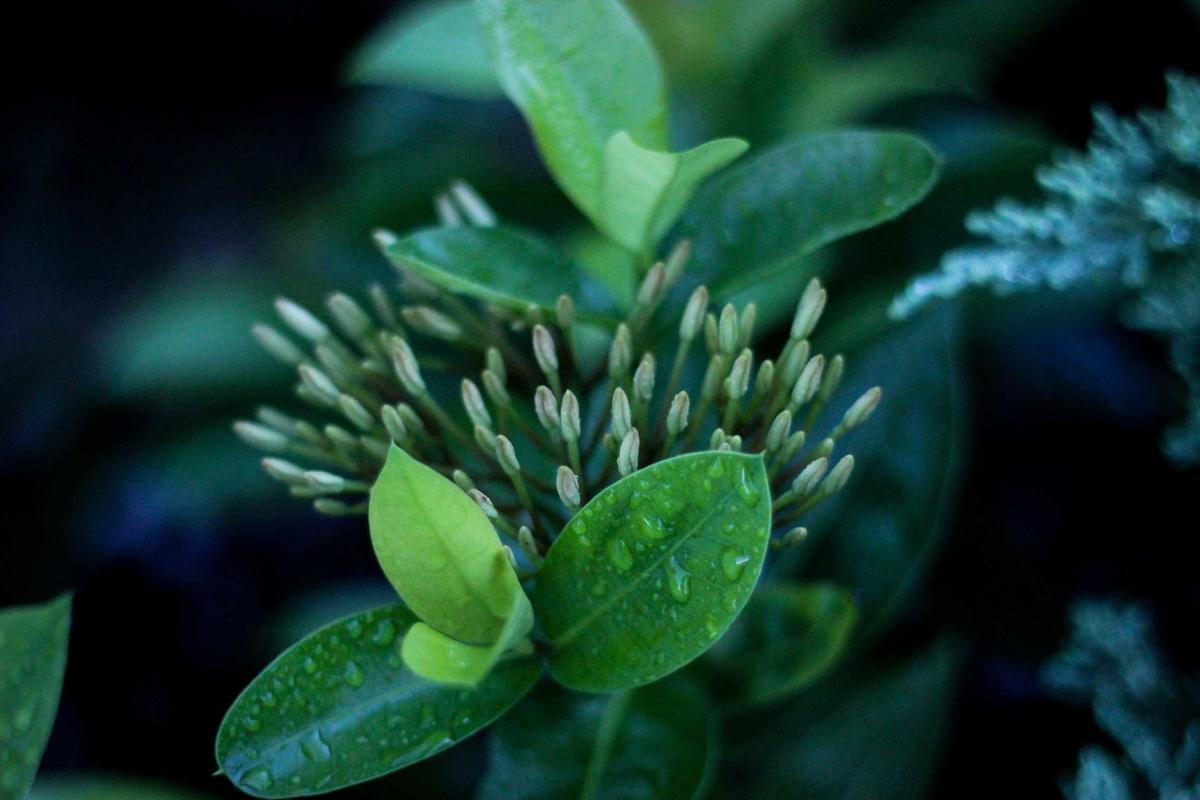 热搜榜实拍：某爆料博主粉丝骂战升级，品牌连夜解约